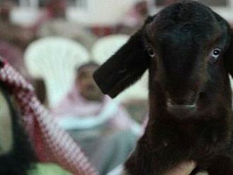 V Nigérii zadržali kozu, je podozrivá z lúpeže