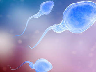 Fyzicky náročná práca zvyšuje koncentráciu aj celkový počet spermií