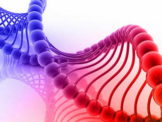 Pred rokom vedci oznámili kompletné rozlúštenie ľudského genómu