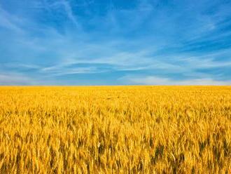 Problémy v dohode medzi Ruskom a Ukrajinou: Ako to bude s vývozom obilia? Toto tvrdí Moskva