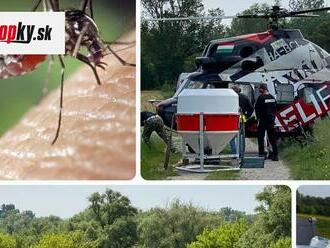 Situácia s komármi je vážna: Bratislava musela použiť vrtuľník! Zle sú na tom aj iné časti