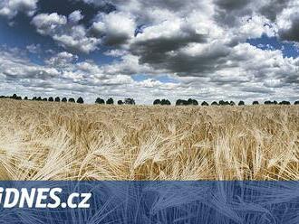 Zastropování dotací by bylo pro české zemědělce smrtící, říká ministr Výborný