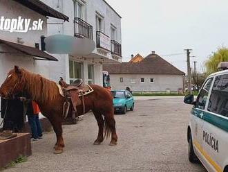 Ako z divokého západu: Na Záhorí pobehoval po ceste splašený kôň, zasahovala polícia