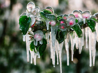 Meteorológovia varujú pred snehom a mrazmi, môžu poškodiť úrodu