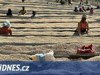 Etiopie zmírnila pravidla exportu kávy. Reformy se dotknou i dalších komodit