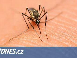 V Česku přibývá nakažených malárií, nemoc si lidé vozí z dovolené