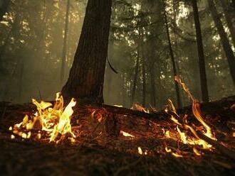 Na východe Španielska vyčíňa v dôsledku teplého počasia lesný požiar
