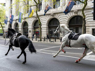 Londýnom sa preháňali splašené vojenské kone. Skrotila ich až armáda, hlásia ranených