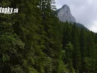 Oslava tatranskej prírody: Najstarší slovenský národný park oslávi 75. výročie založenia