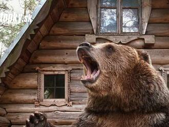 Útoky medveďov na človeka rapídne stúpajú: Kde všade sa šelmy nachádzajú? Na TIETO miesta by ste si mali dať pozor!