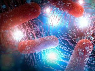 Hororový objav vedcov: Upírske baktérie! Naskočia vám zimoriavky, čo v našom tele robia