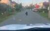 VIDEO: Nepochopiteľné. Medveďa hnal autom stovky metrov medzi domami v Očovej