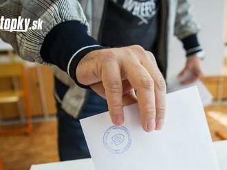 Volič môže pre závažné dôvody hlasovať v eurovoľbách do prenosnej volebnej schránky