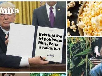 Splnomocnenec vlády Kotlár rozbil internety kukuricou: Slováci sa bavia, tieto kúsky ich úplne dostali!